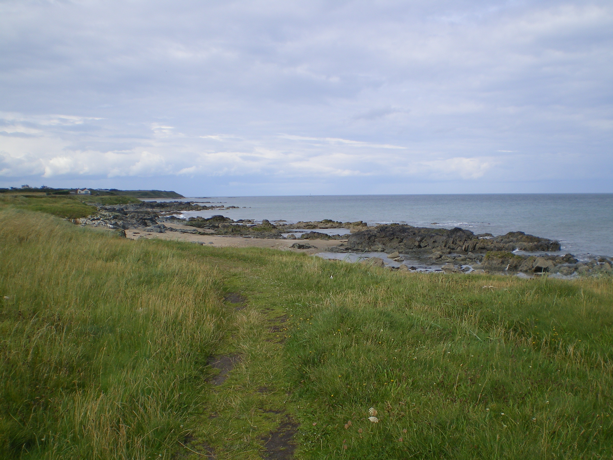 IMGP0043
