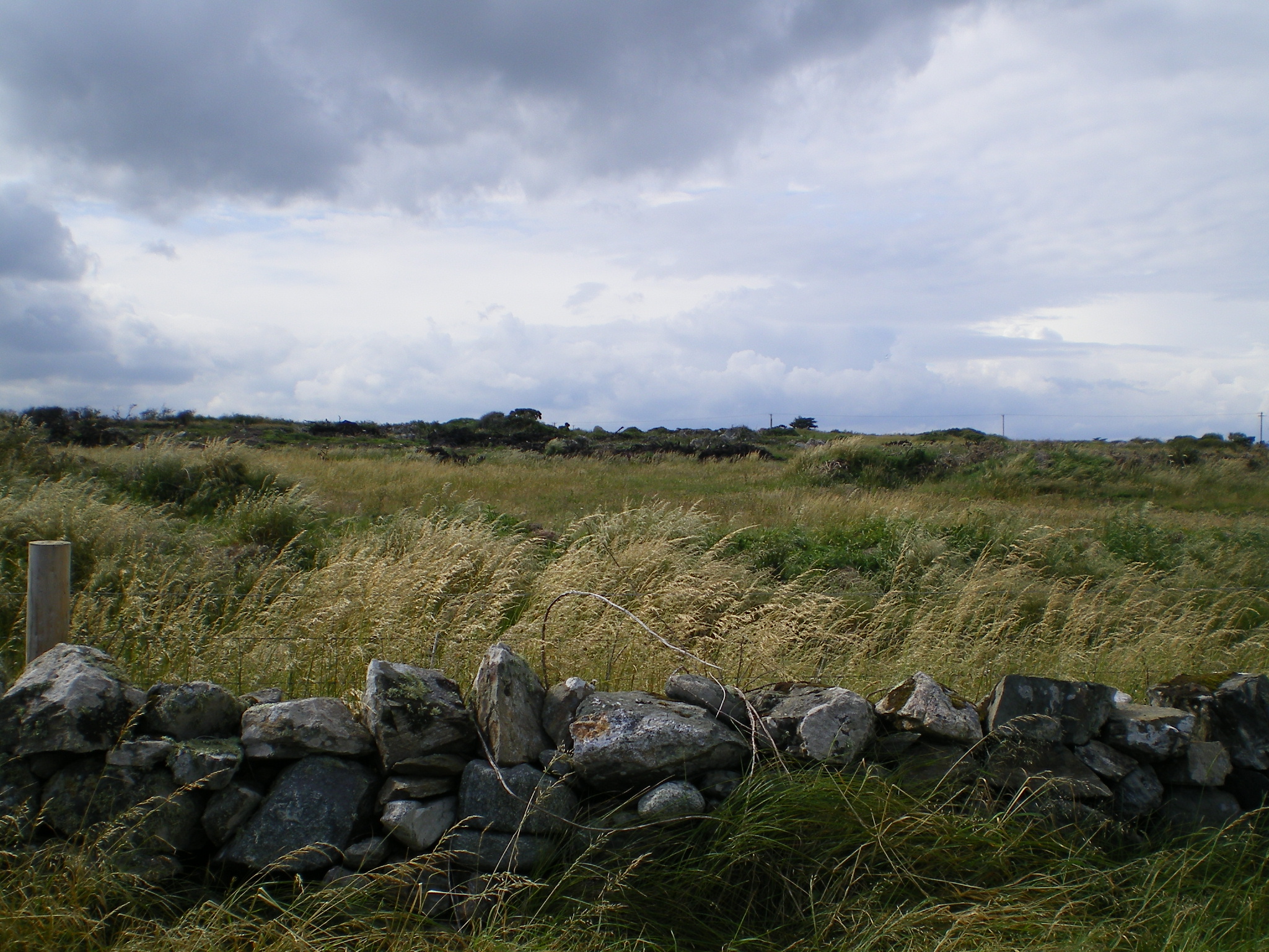 IMGP0044