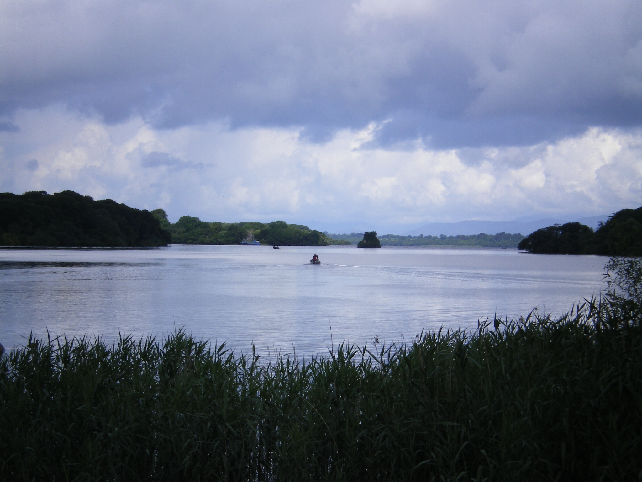 IMGP0230