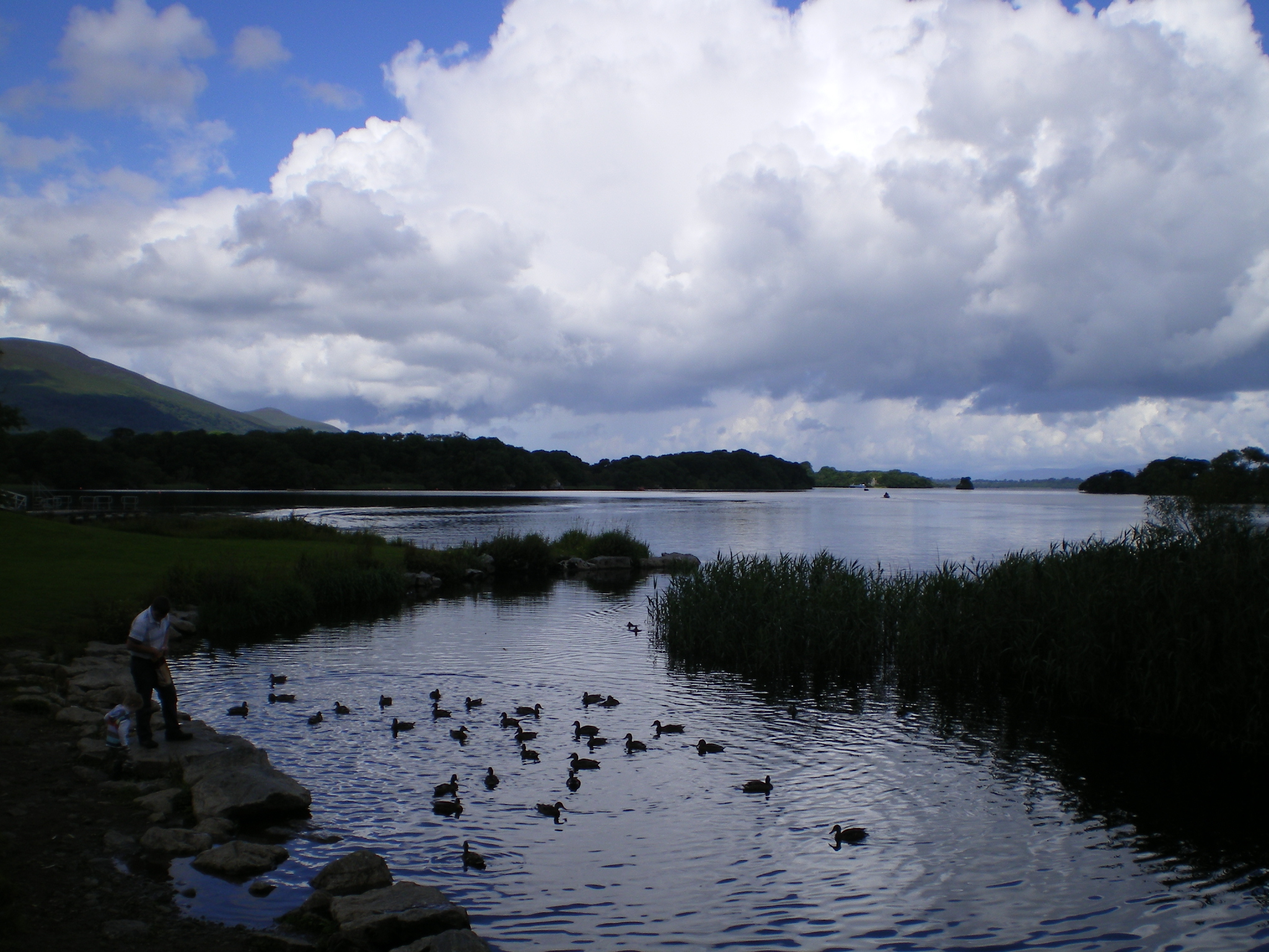 IMGP0232