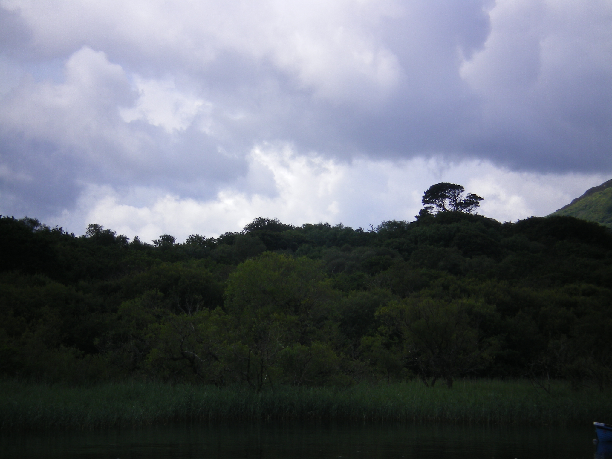 IMGP0242