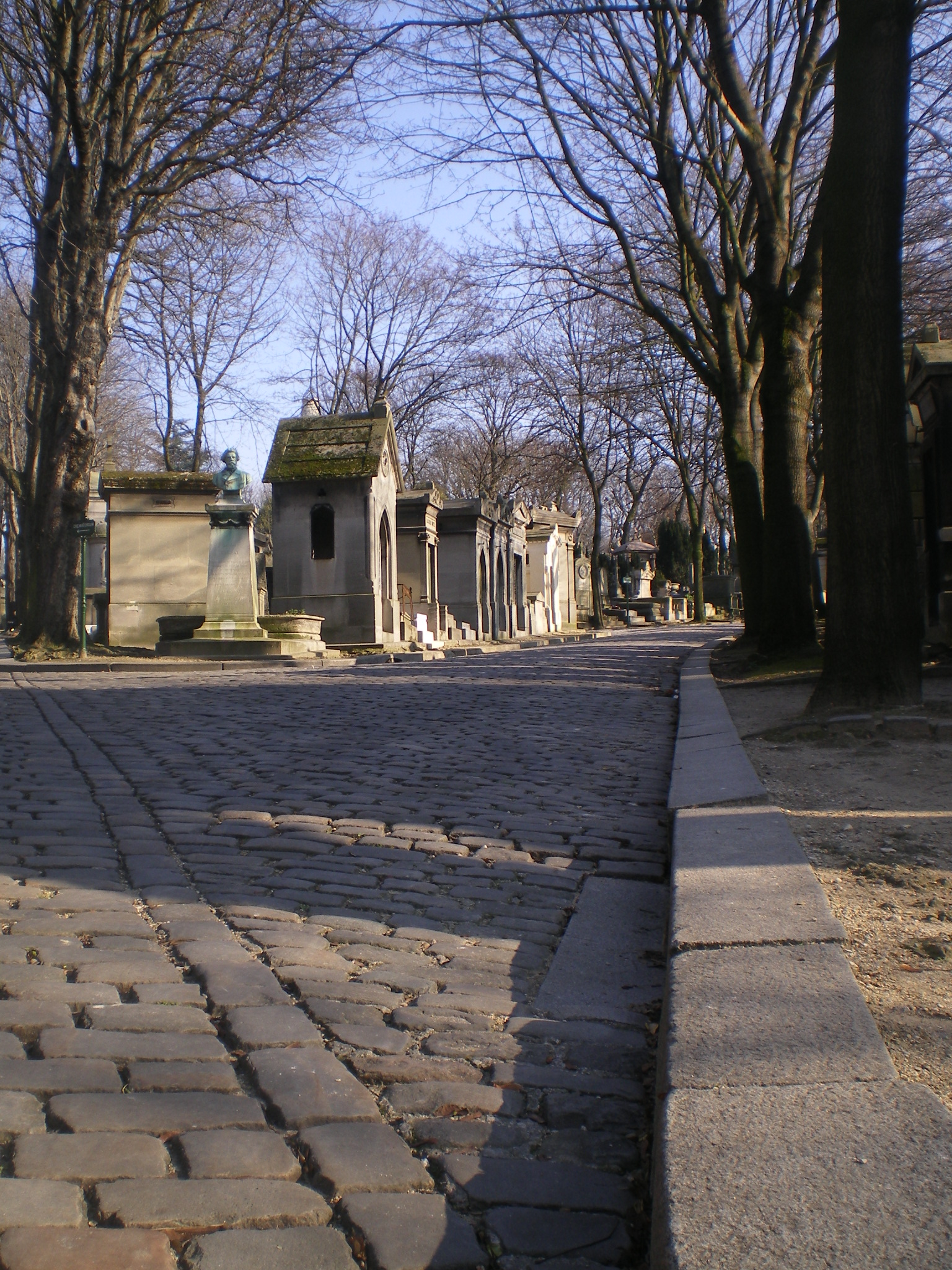 IMGP0561