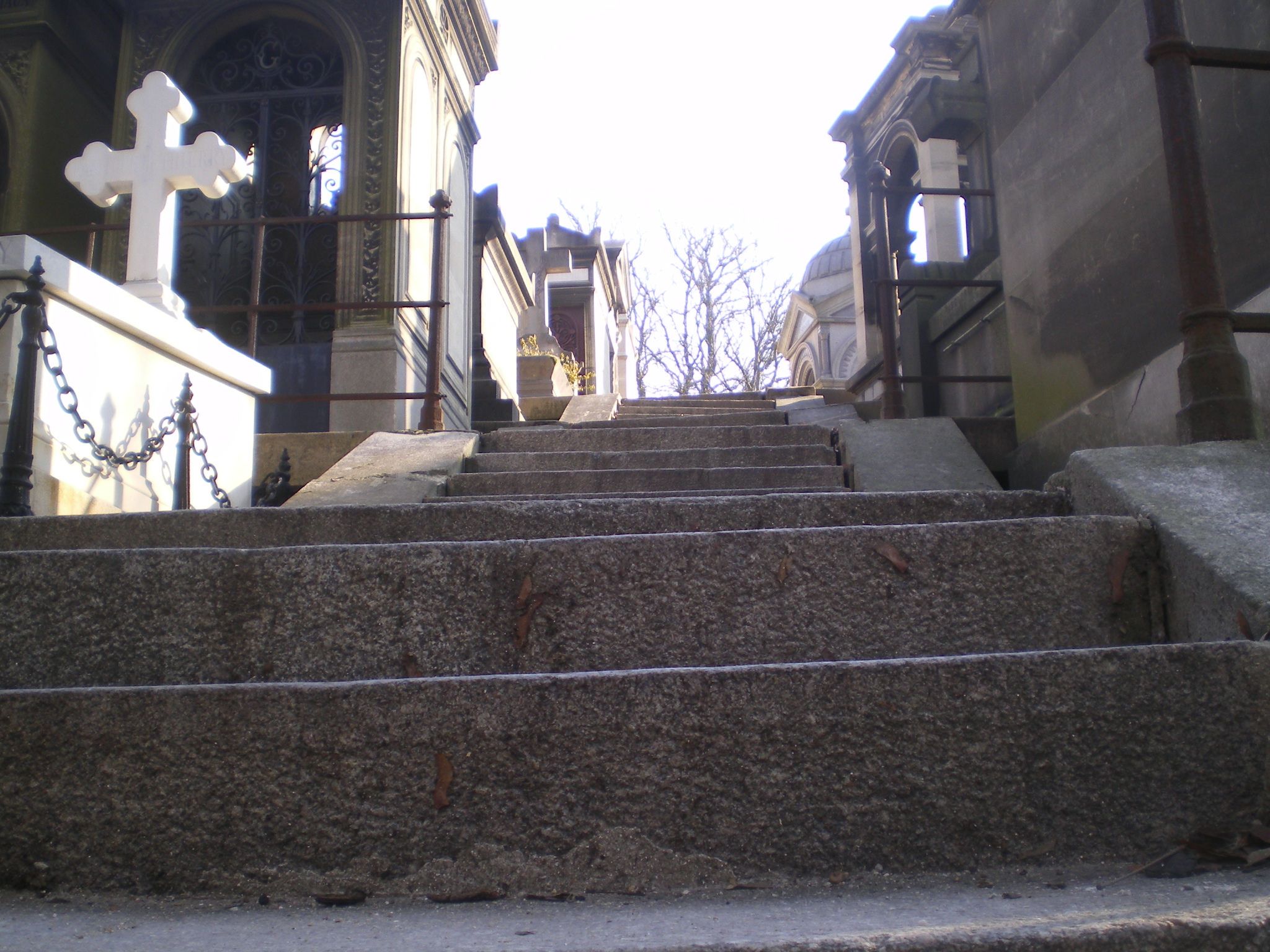 IMGP0566