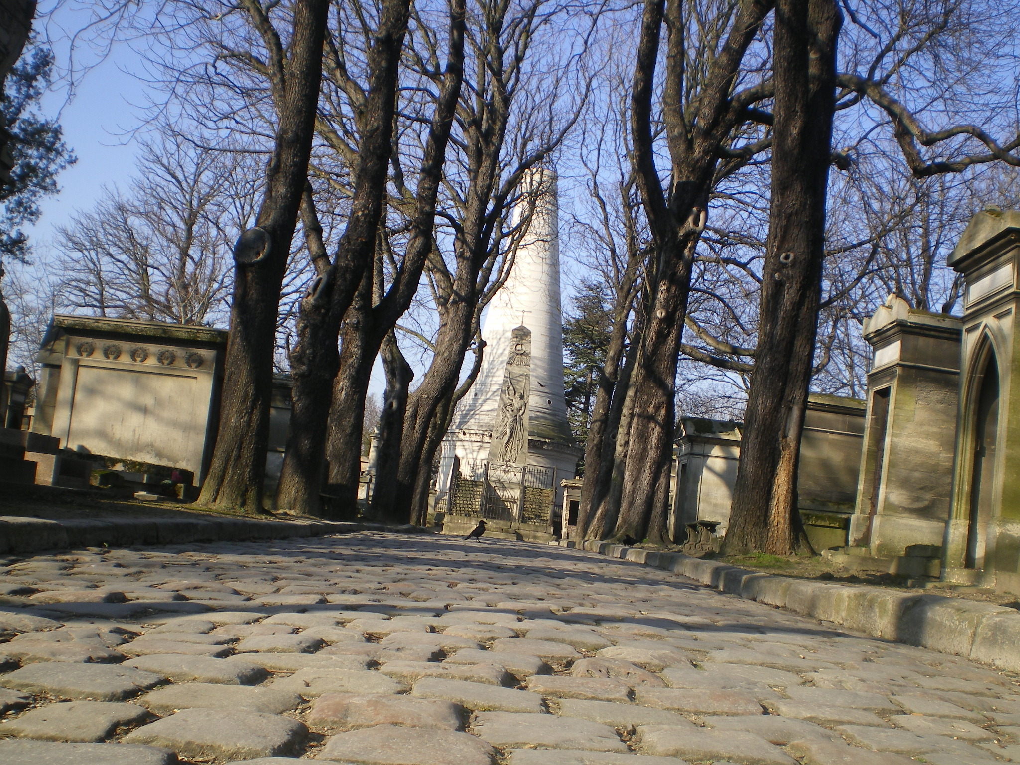 IMGP0577
