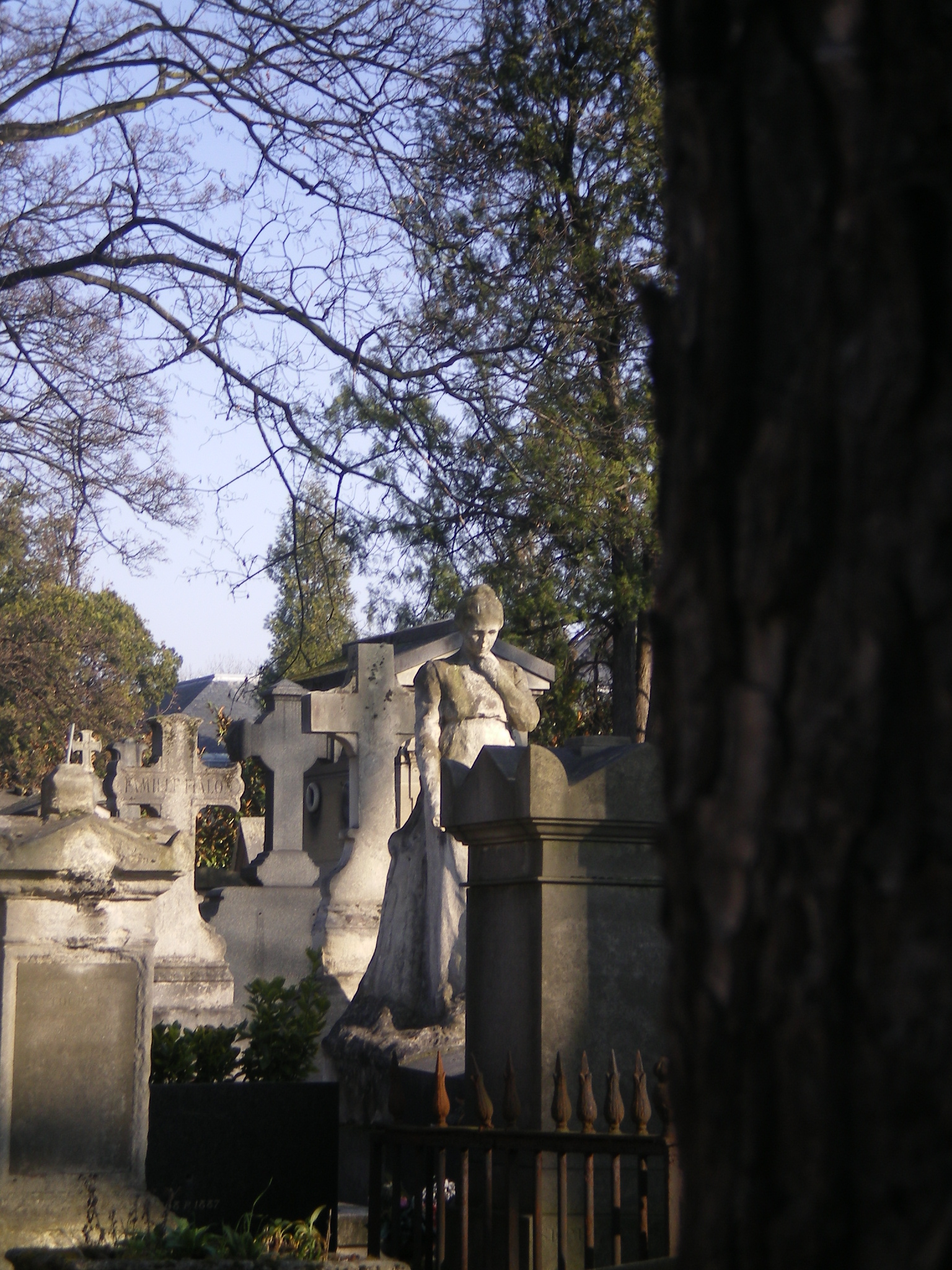 IMGP0579