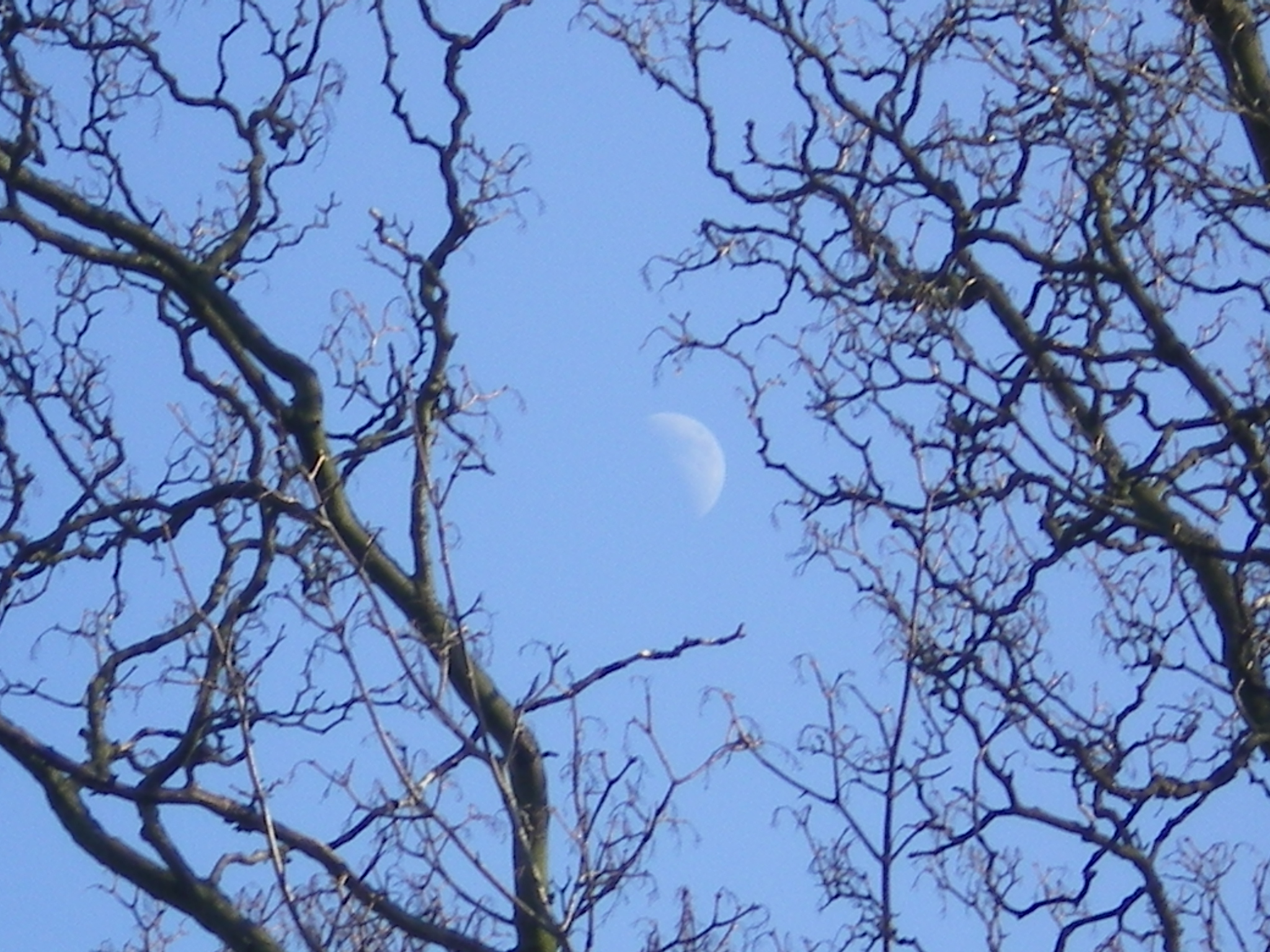 IMGP0606