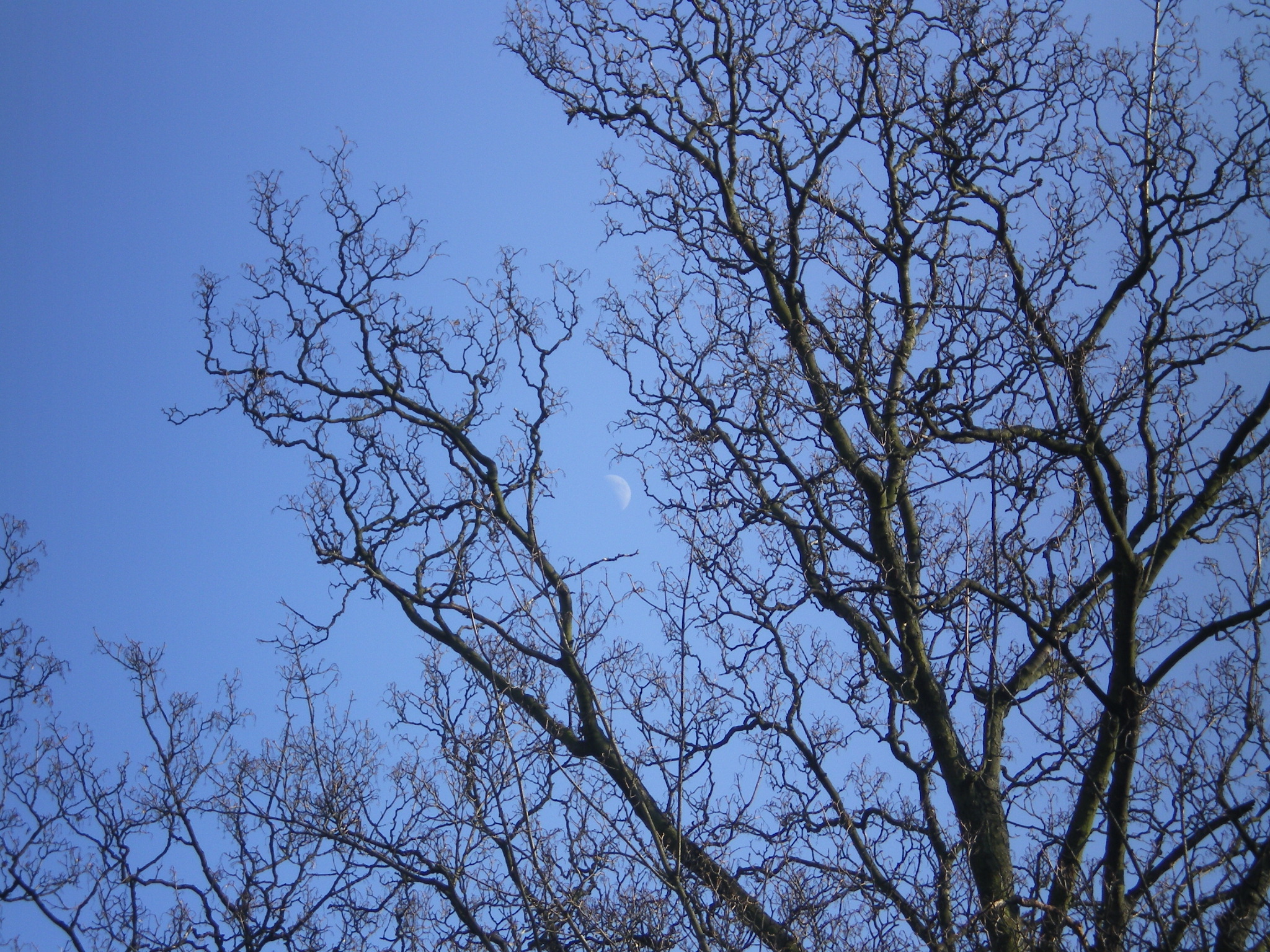 IMGP0607
