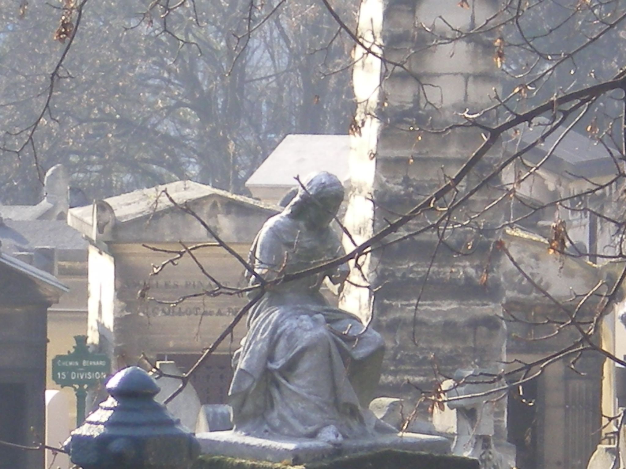 IMGP0613
