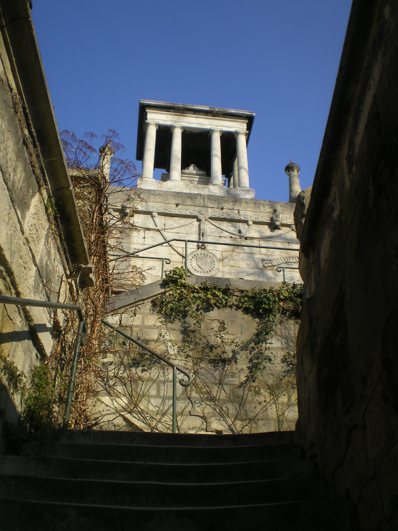 IMGP0617