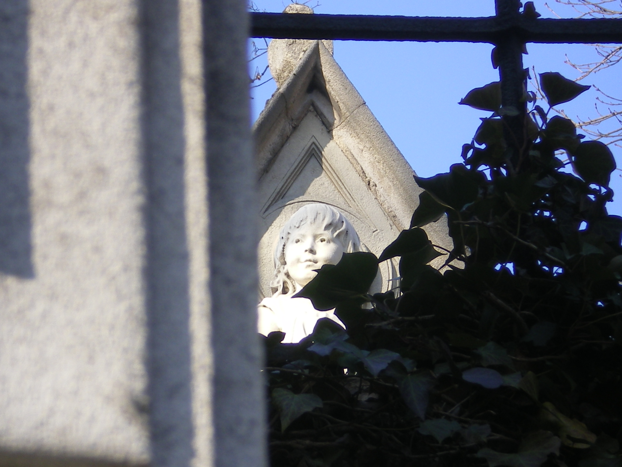 IMGP0629