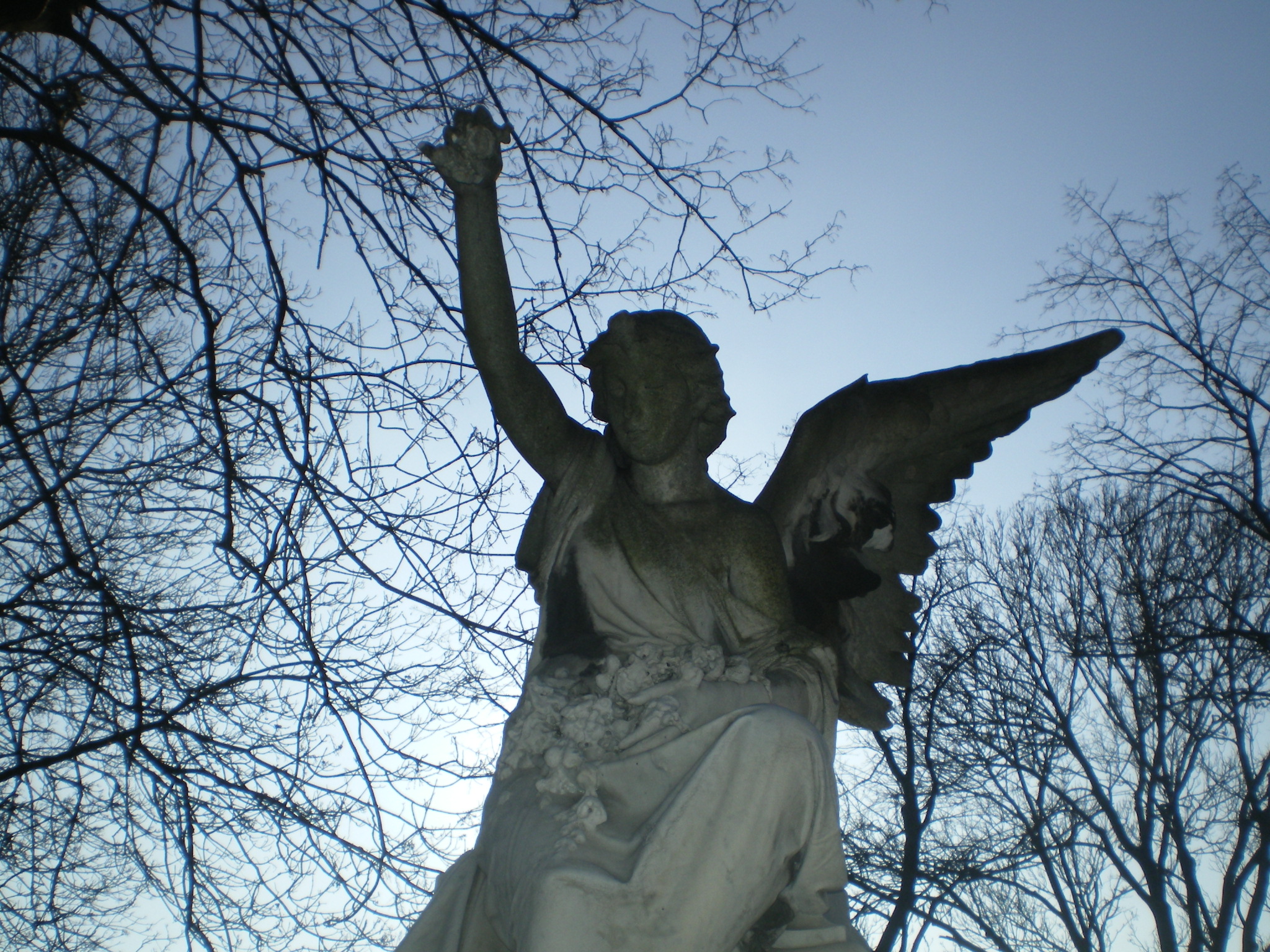 IMGP0644