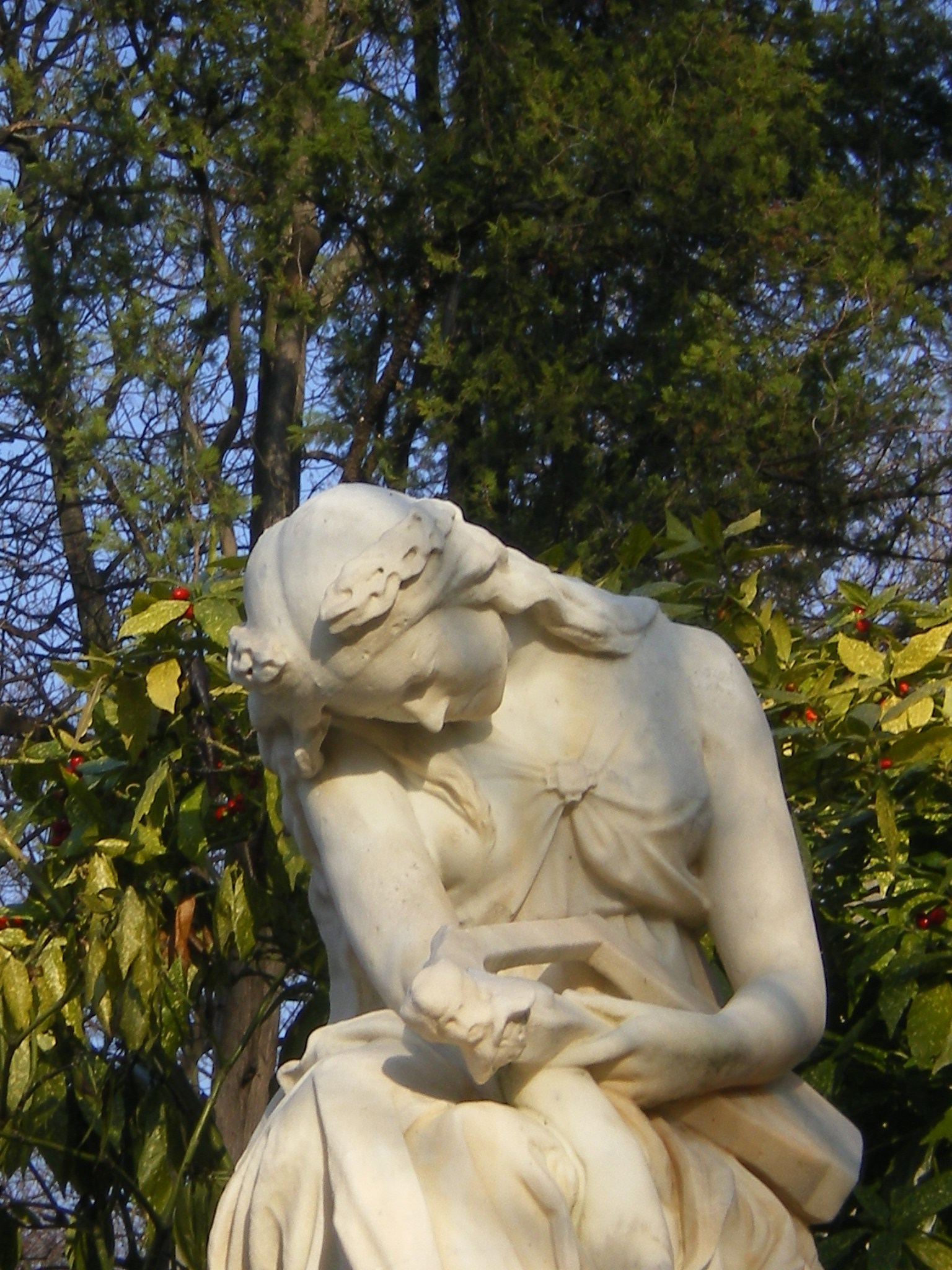 IMGP0662