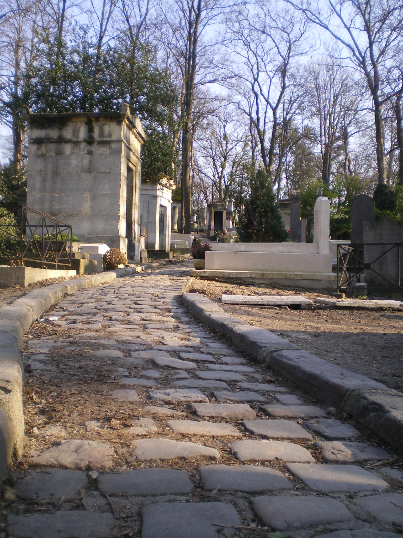 IMGP0671