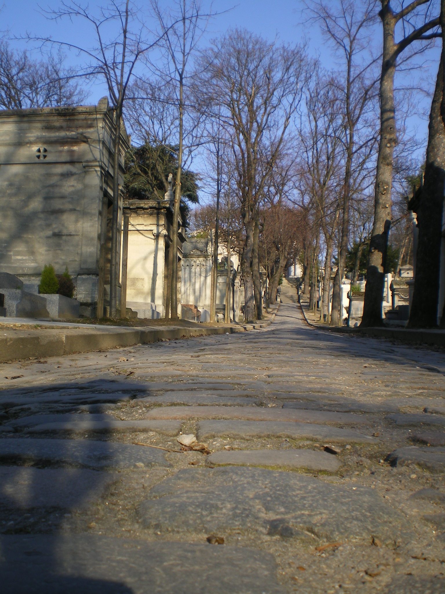 IMGP0678