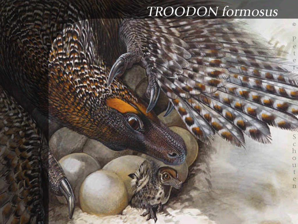 Troodon04gif