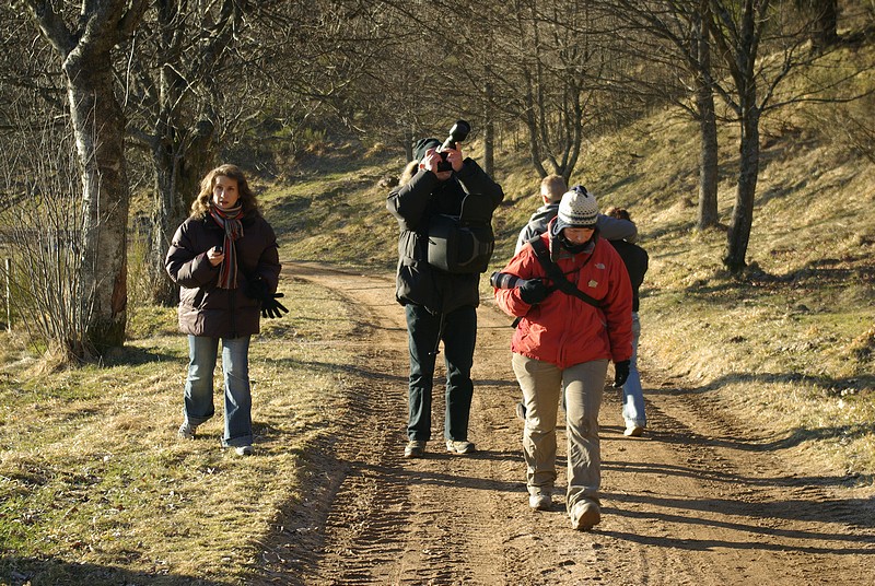 [topic collectif] Paparazzi mode au champs du feu (Vosges) 080216095432180201726980