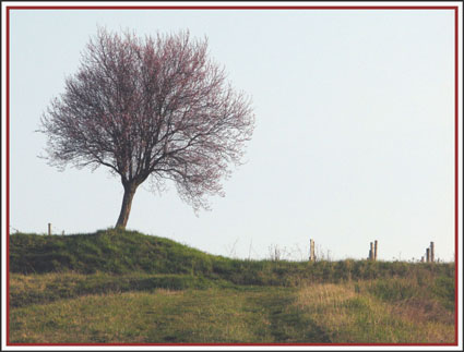 015img_0335-r_gf