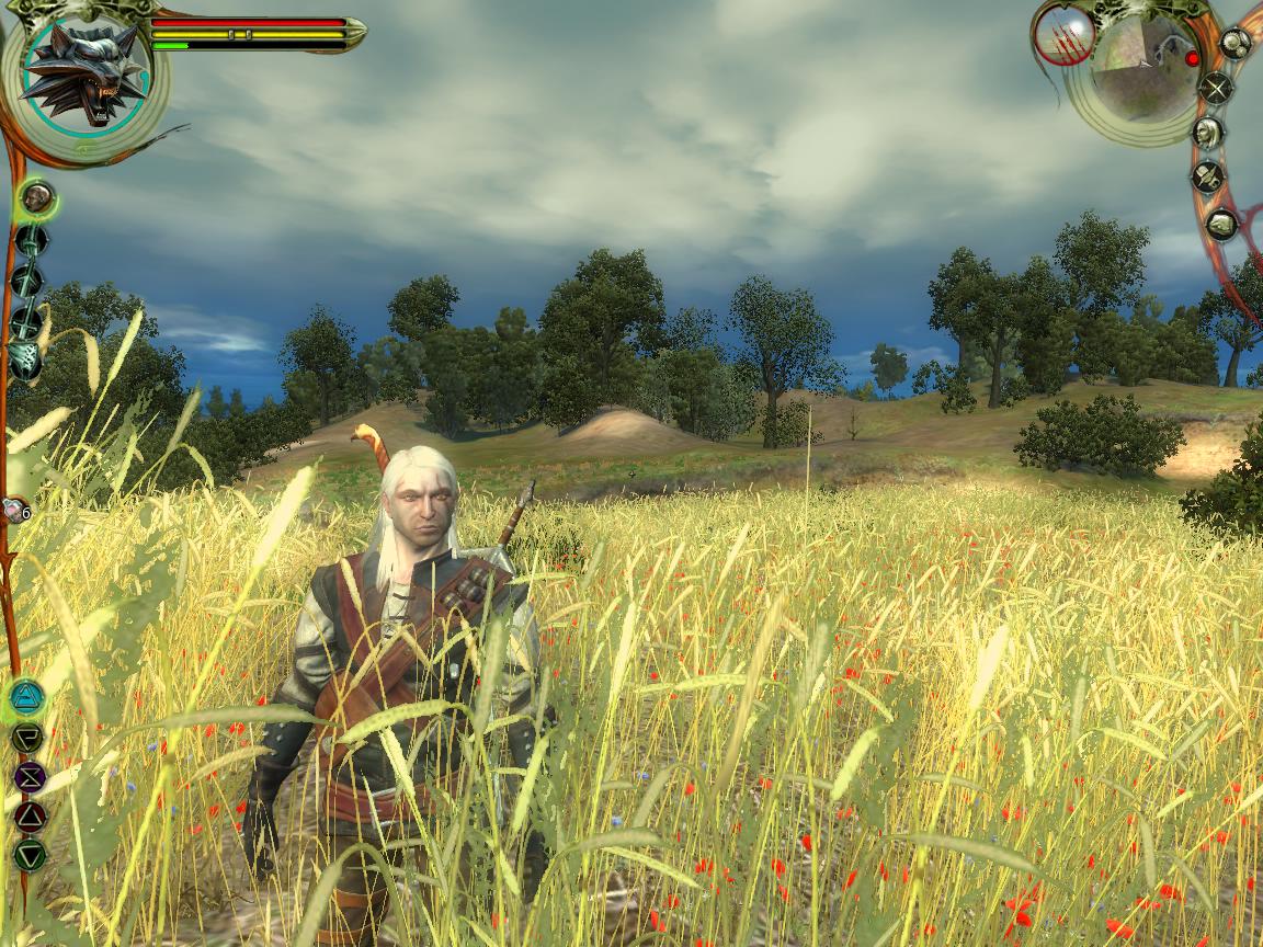 witcher#816