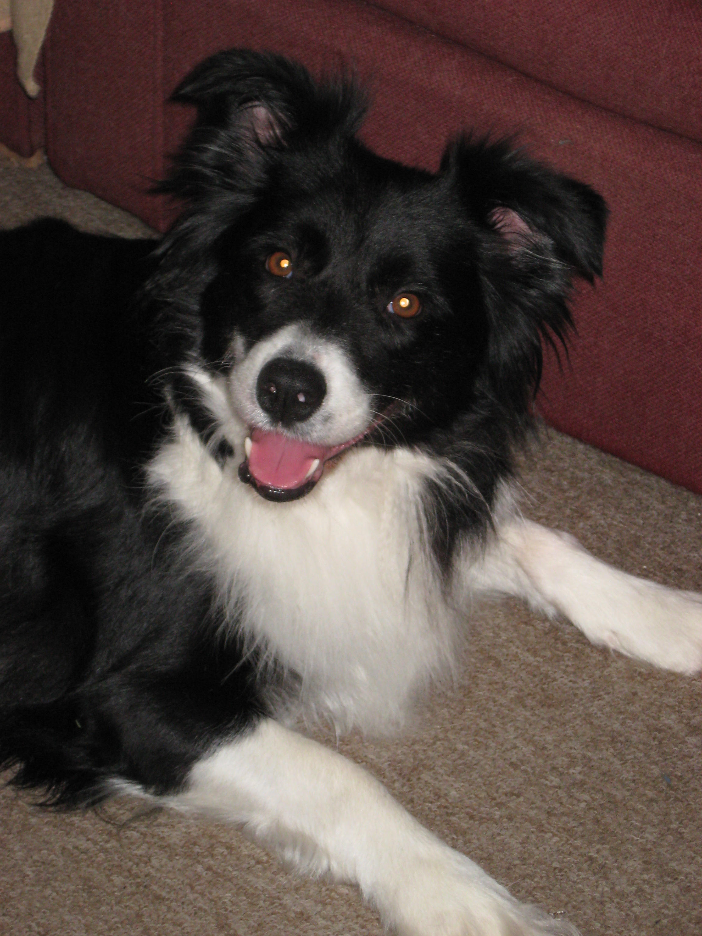 Mes photos a Moi 030