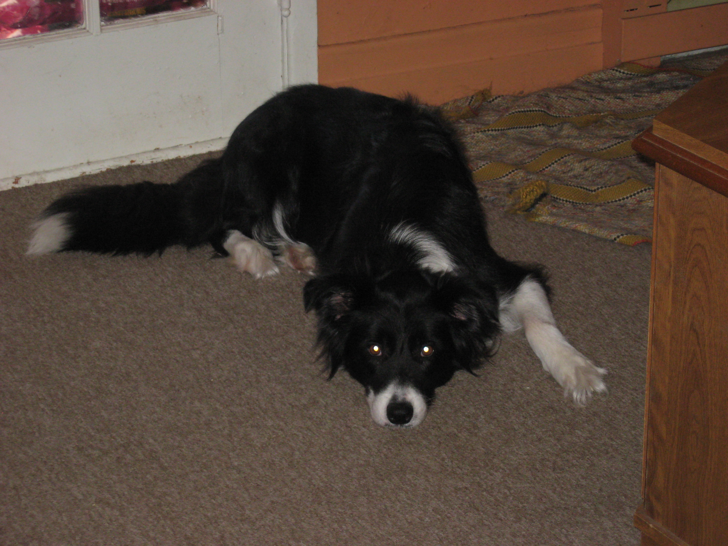 Mes photos a Moi 234