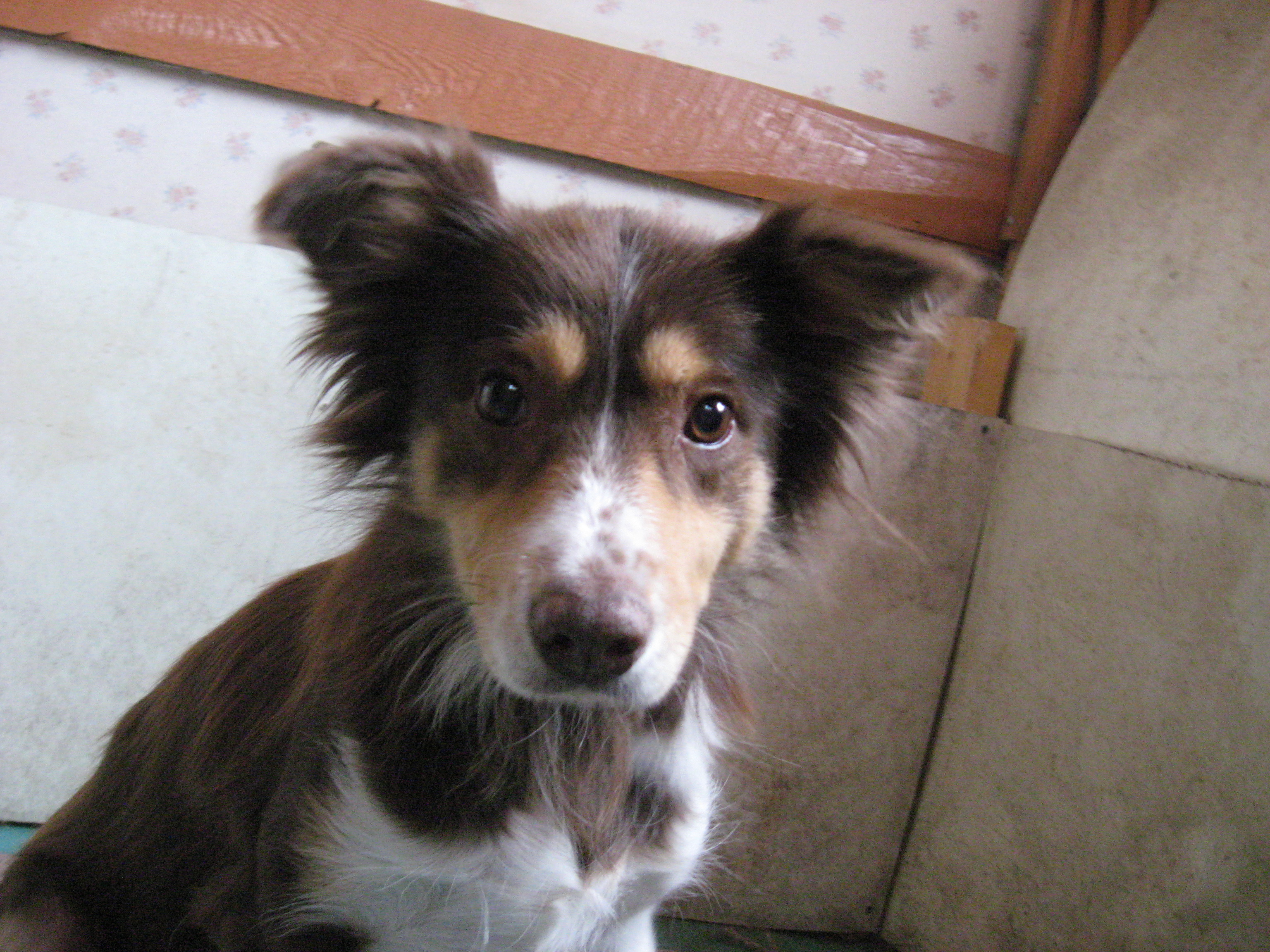 Mes photos a Moi 169