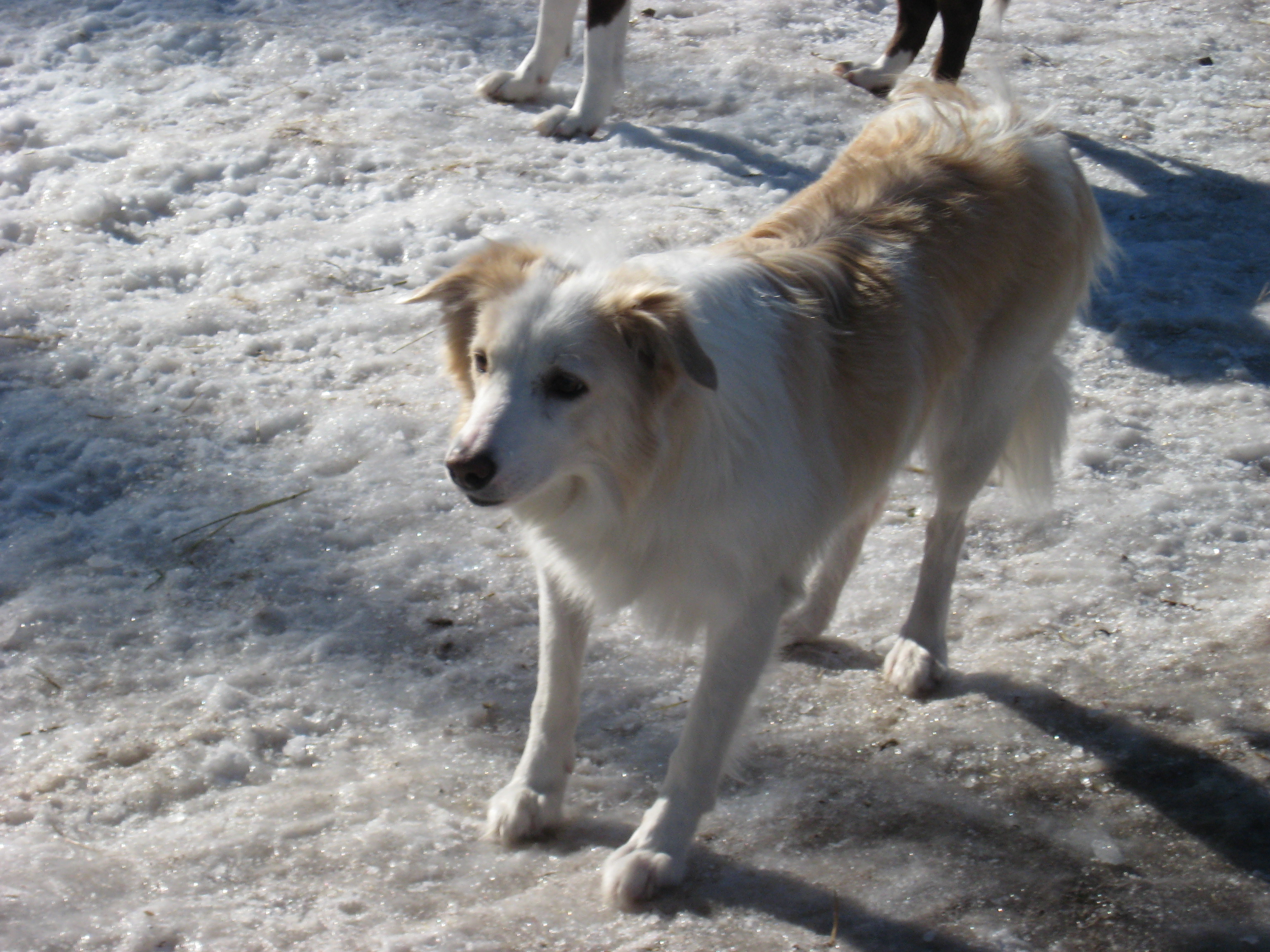 Mes photos a Moi 266