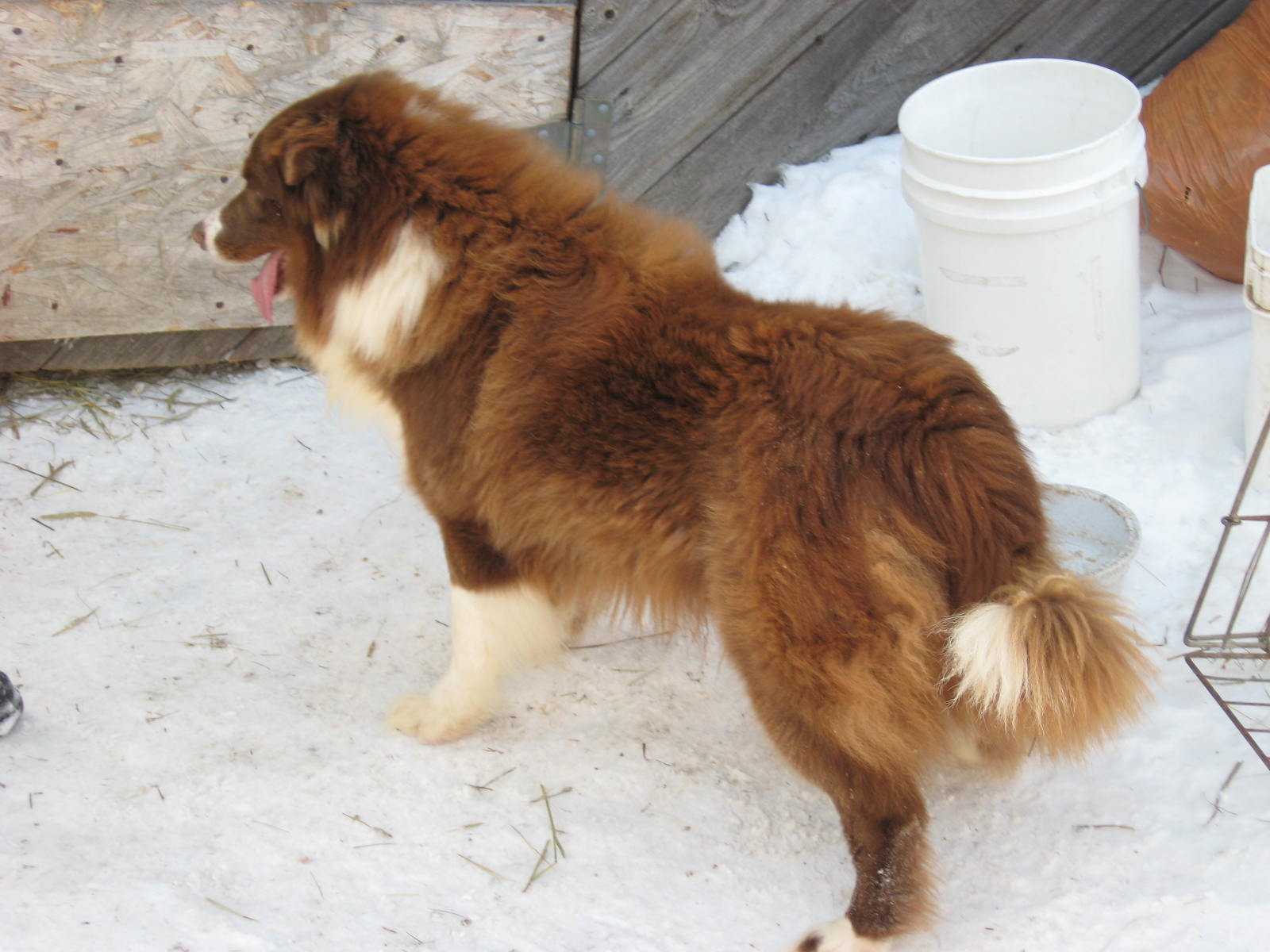 Mes photos a Moi 185