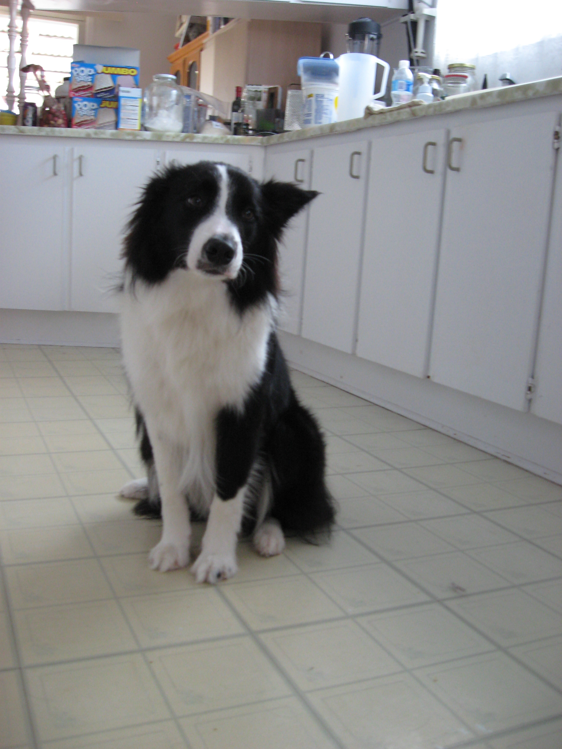 Mes photos a Moi 076