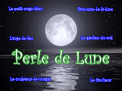 PerledeluneAccueilServeur