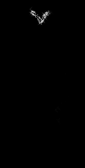 CoeurAstuceMontage4