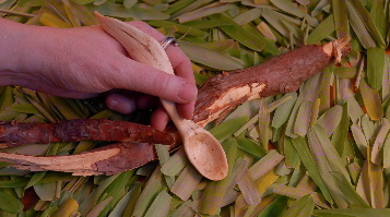 bushcraft2