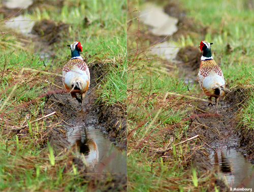 Image hébergée par Casimages.com : votre hébergeur d images simple et gratuit