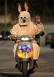 motorisierter-osterhase