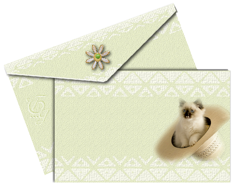 Carte et son enveloppe 080401101517216421898197