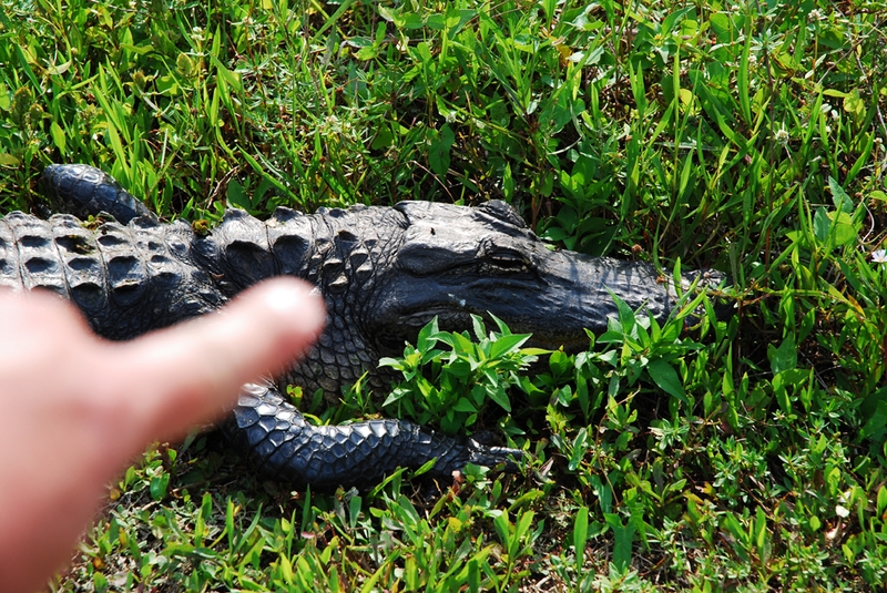 Miami-0696