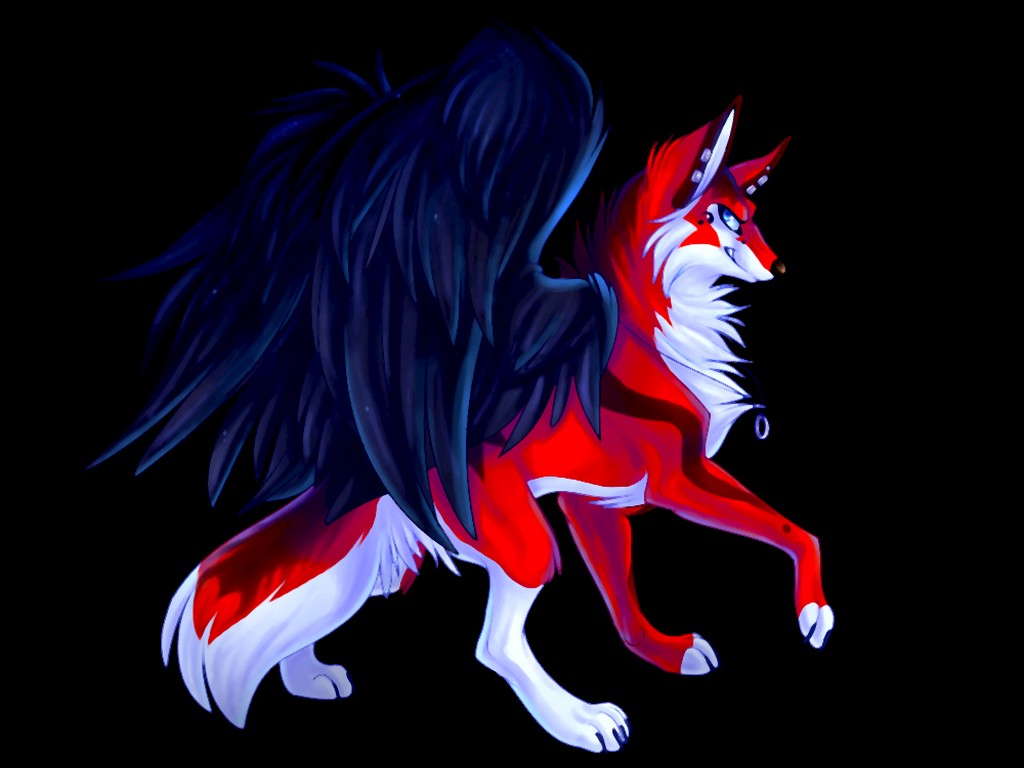 loup01