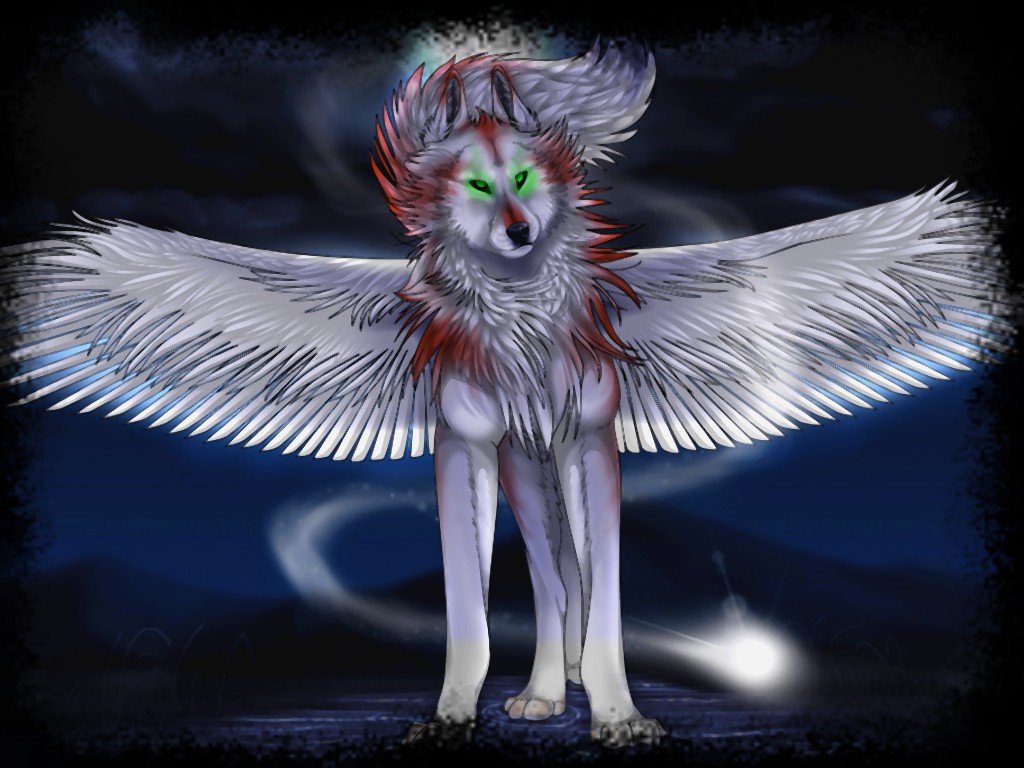 loup03