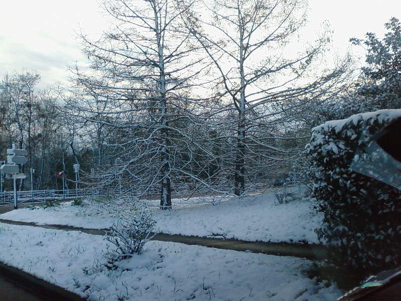 Photos-0202