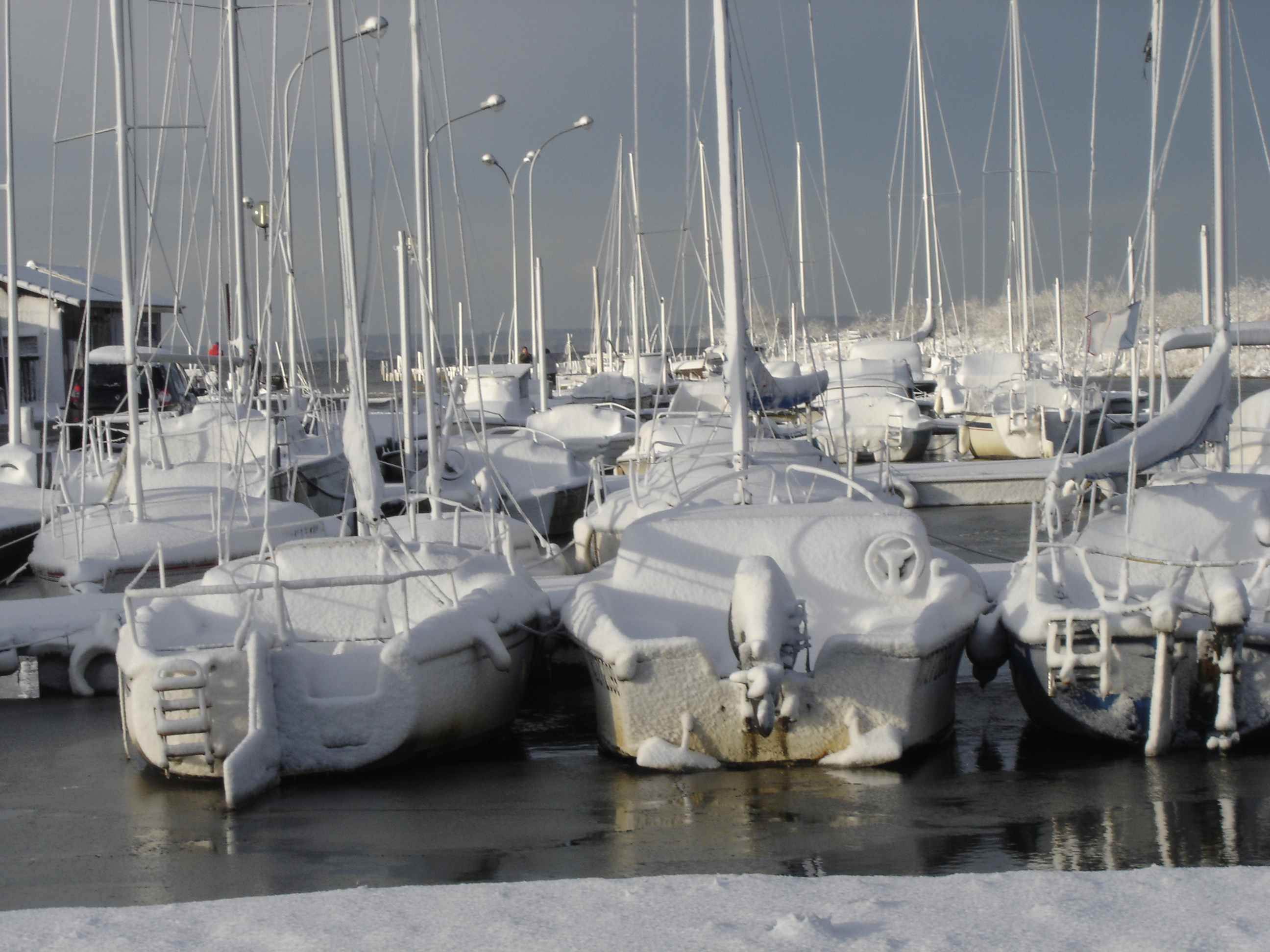 Neige 25 janvier 095