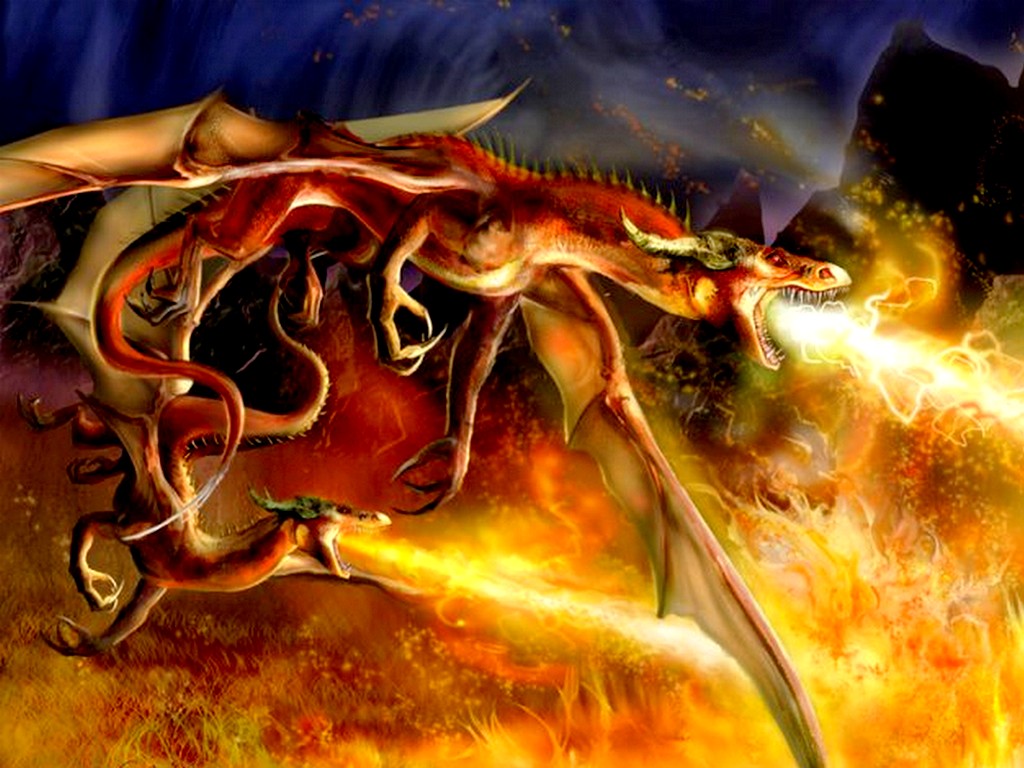 dragon008