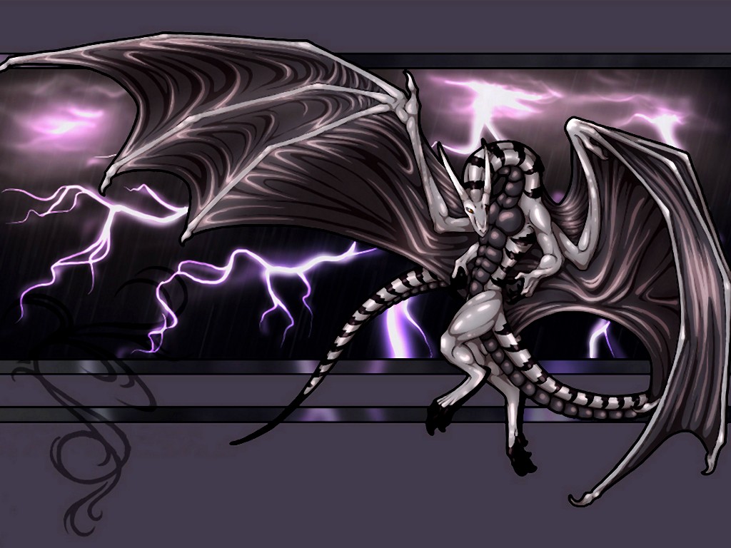 dragon009