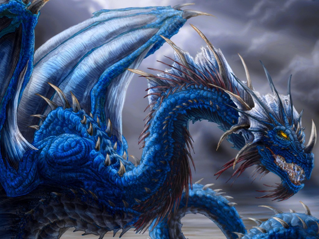 dragon011