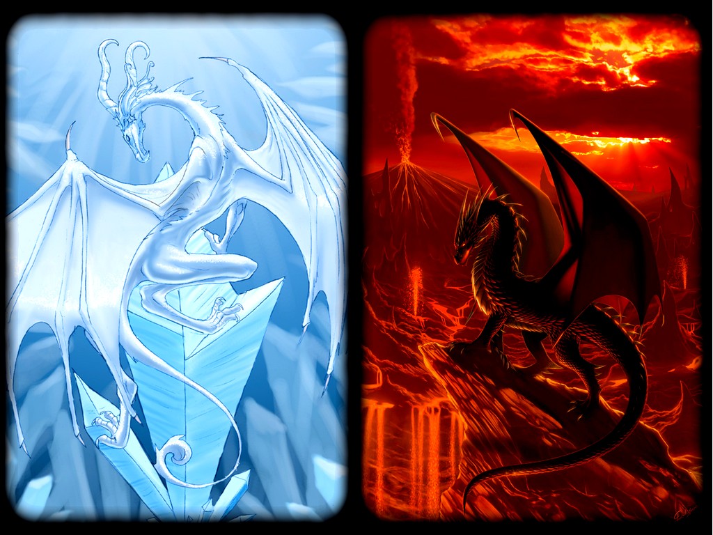 dragon020