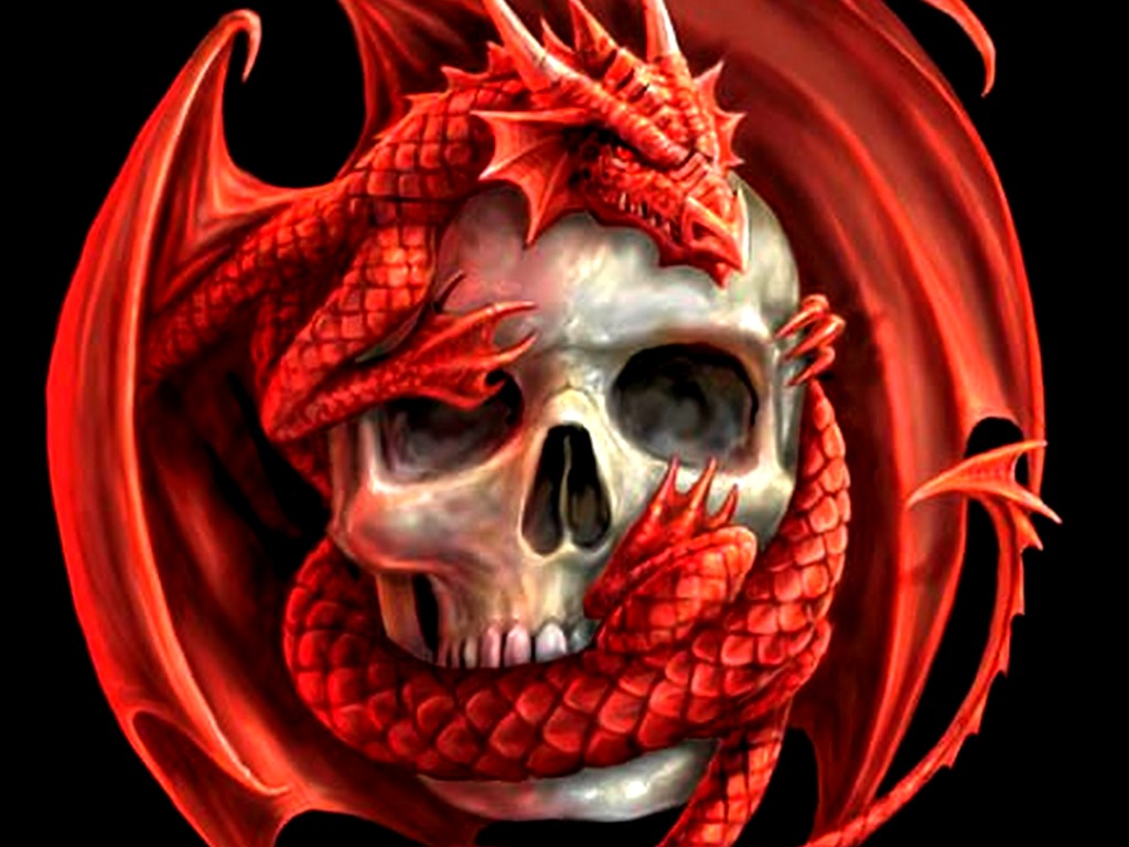 dragon041