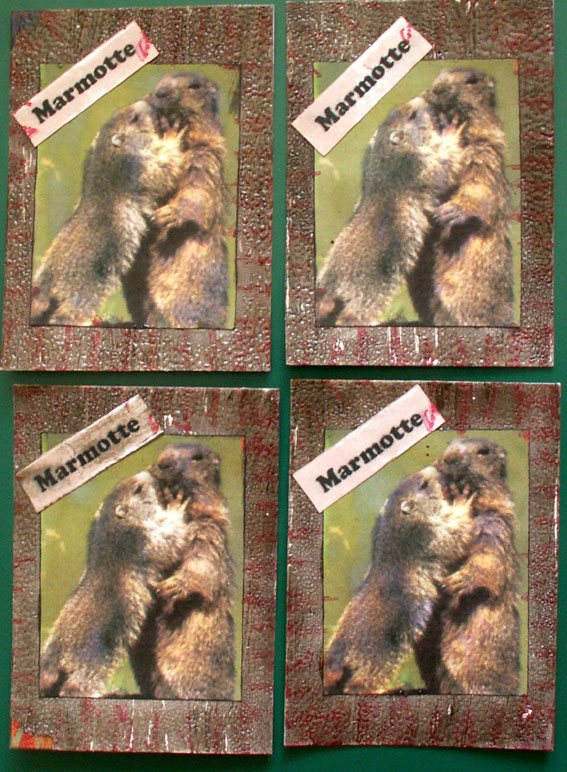 Image hébergée par Casimages.com : votre hébergeur d images simple et gratuit