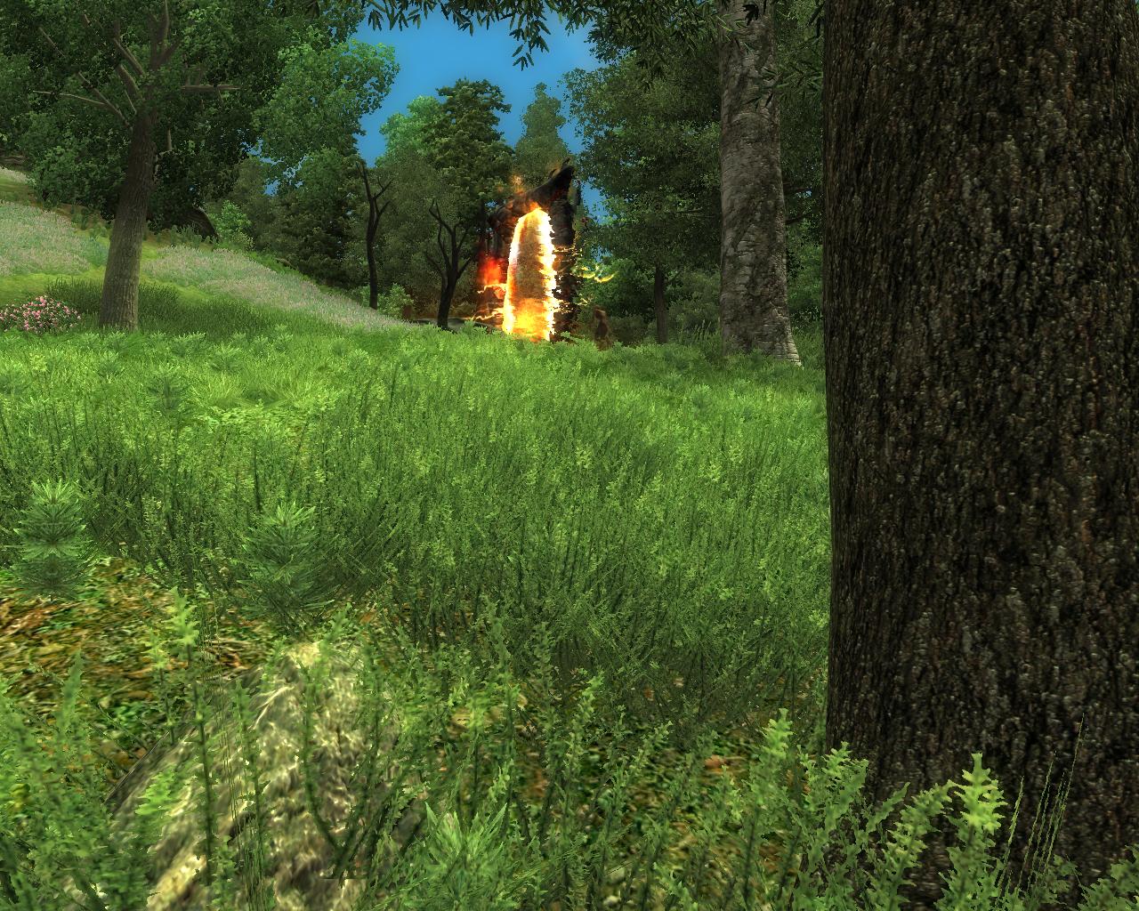 Oblivion 2008-04-13 10-26-42-85