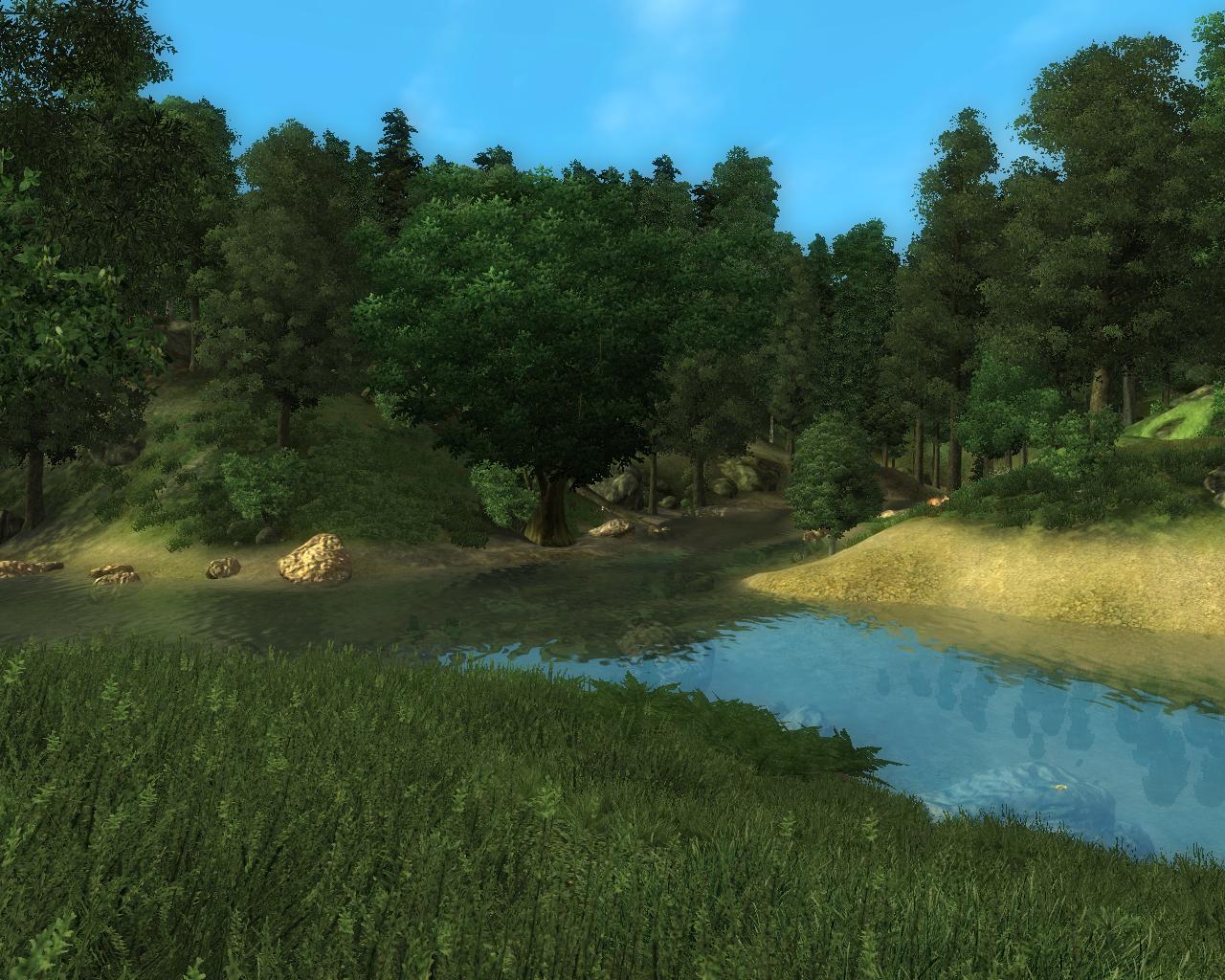 Oblivion 2008-04-13 10-15-39-20