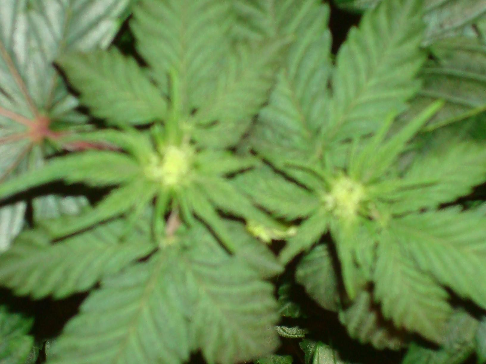 08