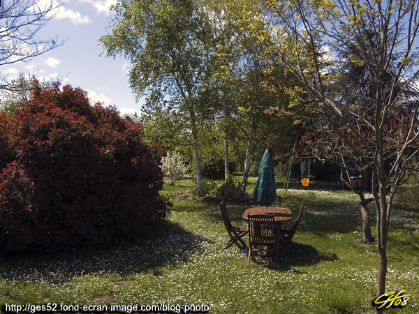 une vue de votre fenêtre (fil ouvert) - Page 2 080418091601255581964905