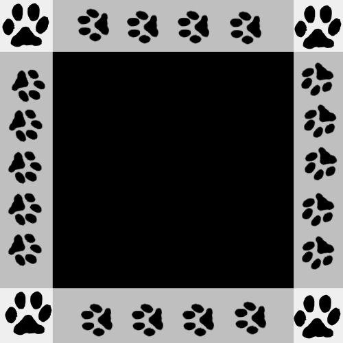 lilou a 43